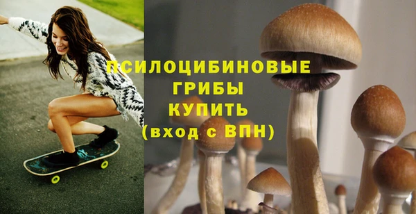 кокс Сясьстрой