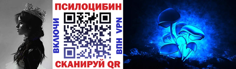 Галлюциногенные грибы GOLDEN TEACHER  магазин  наркотиков  Каменка 
